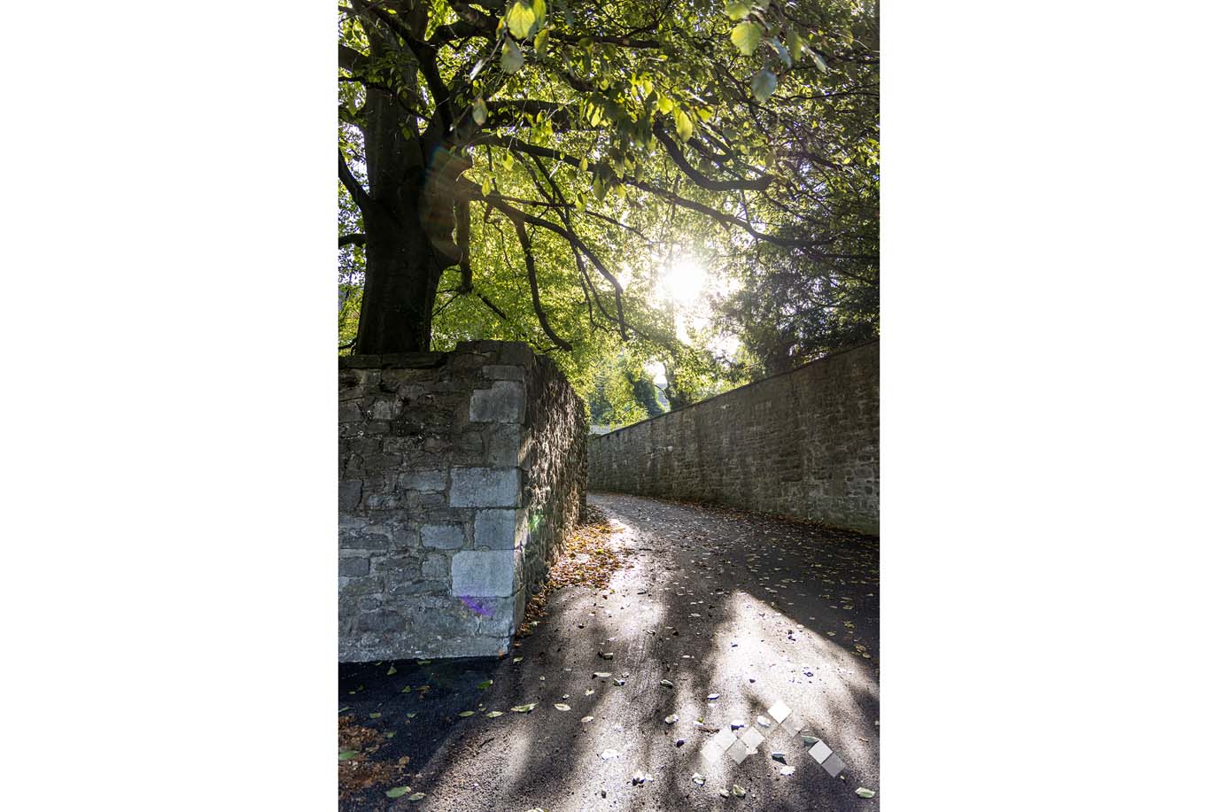AU JARDIN DU DUC-10
