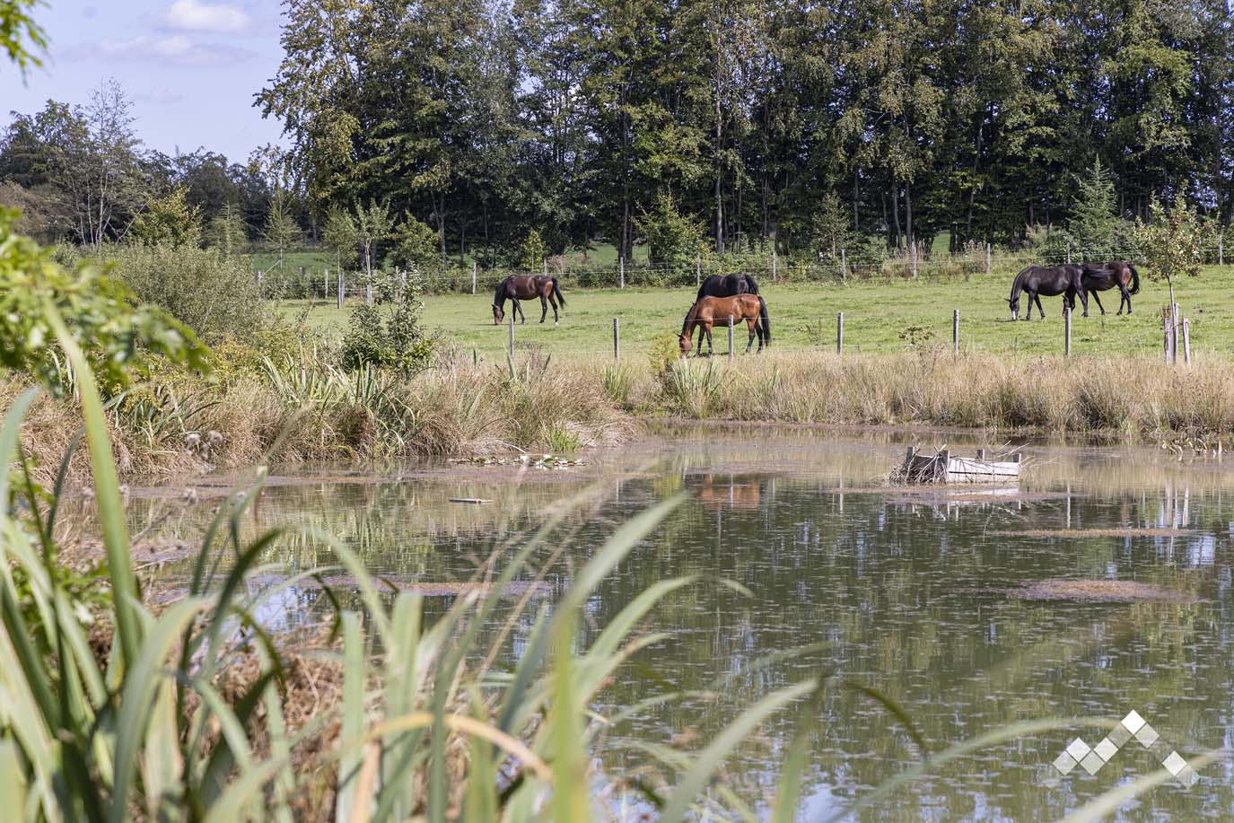 NATURE A BORD-2