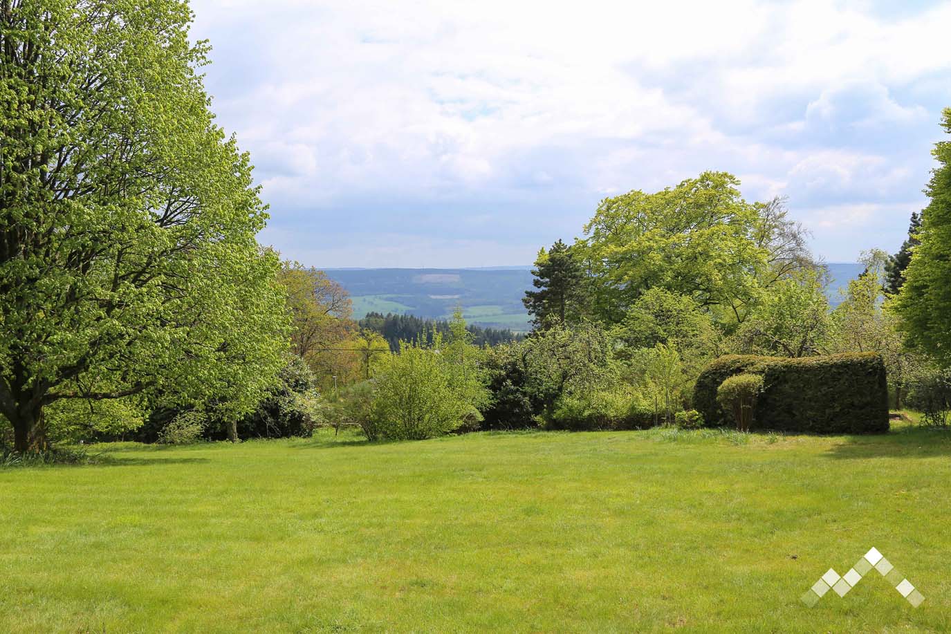 VERT BUISSON-46
