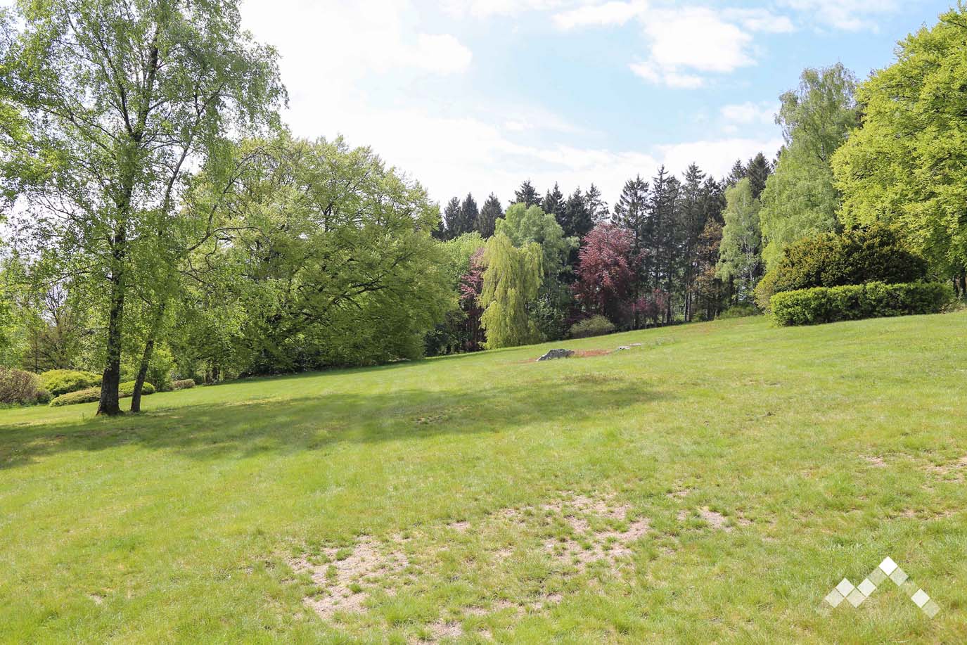 VERT BUISSON-47