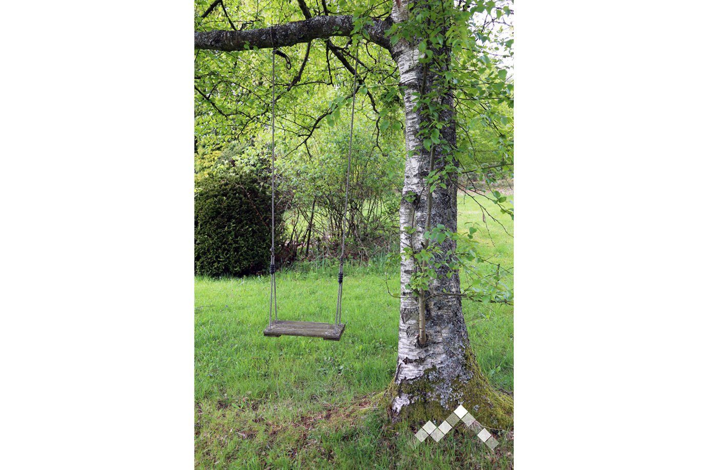 VERT BUISSON-50