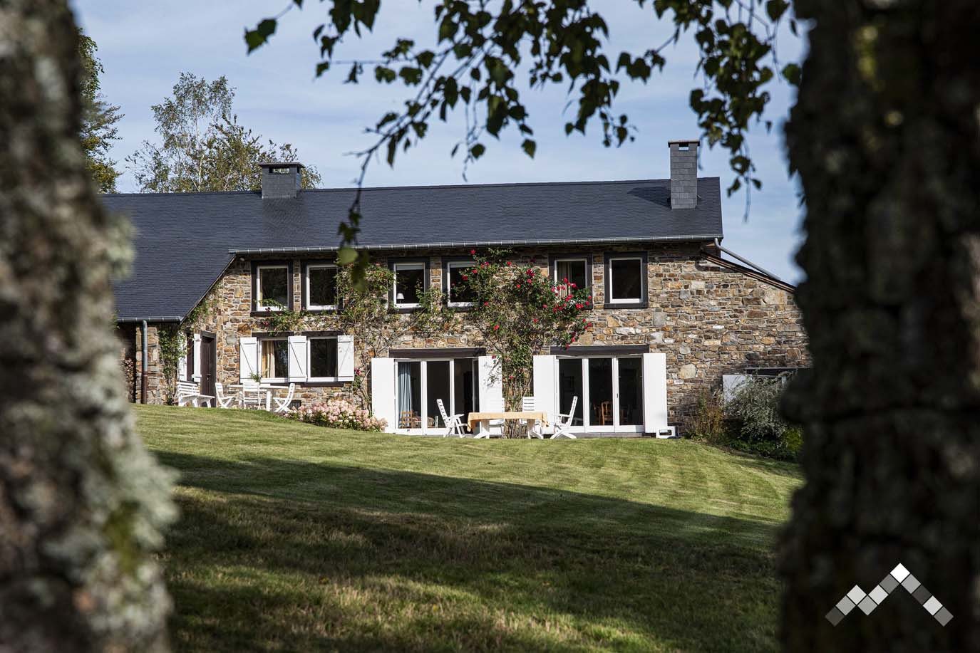 VERT BUISSON-58
