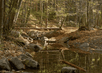 Aywaille: Ontdek de 'must see' plekjes