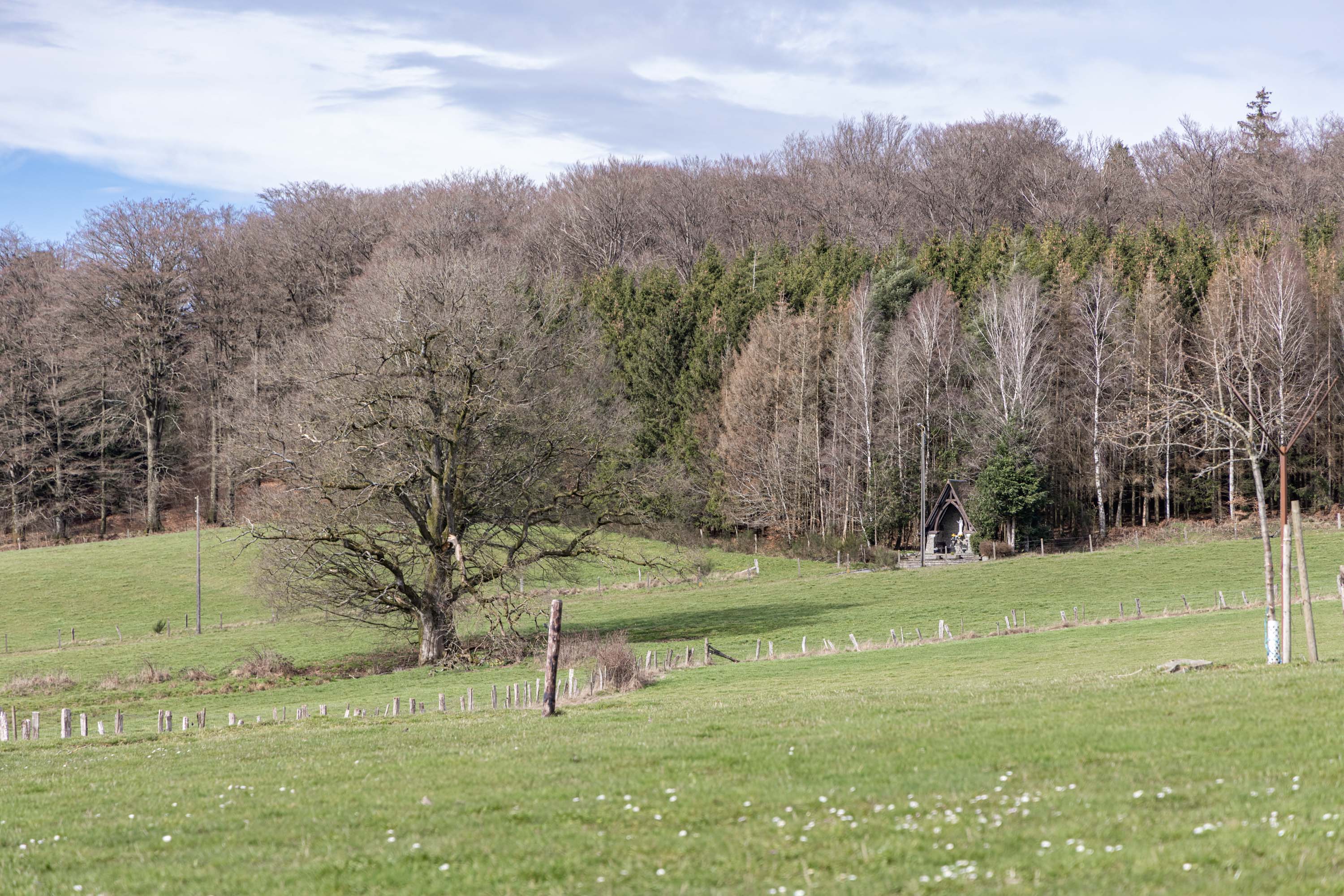 ardenne residences paliseul 6853 region landscapes framont