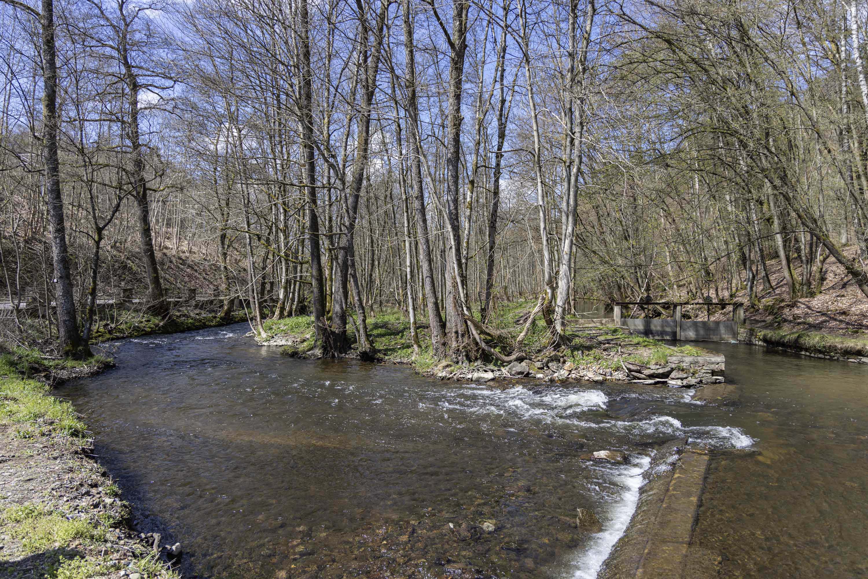 ardenne residences saint-hubert 6870 region landscapes river poix-saint-hubert