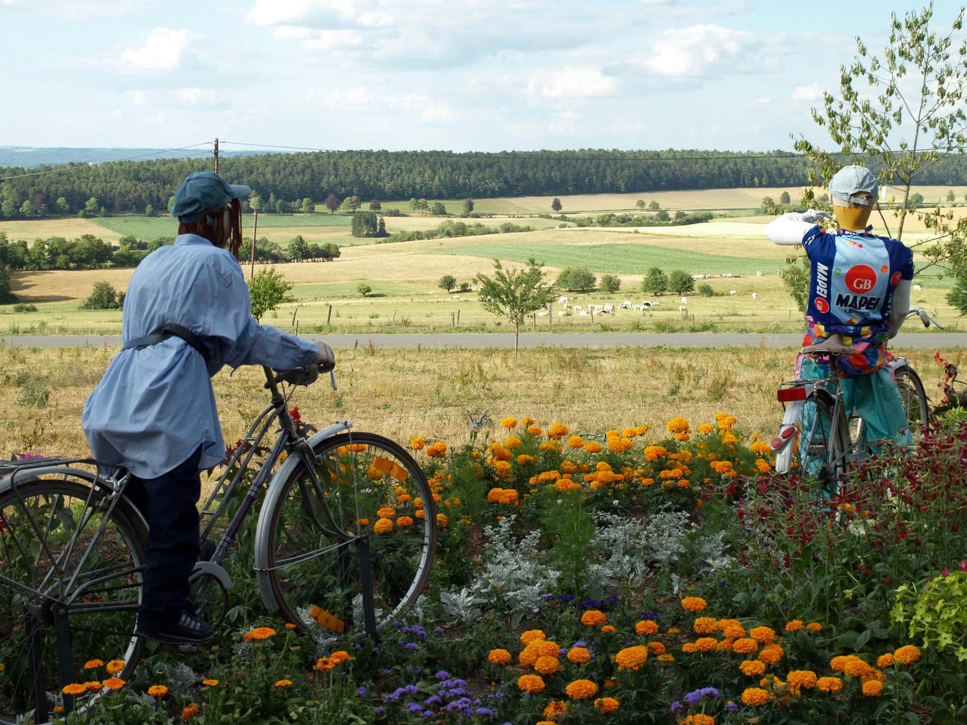 ardenne residences beauraing 5580 region landscape.jpg