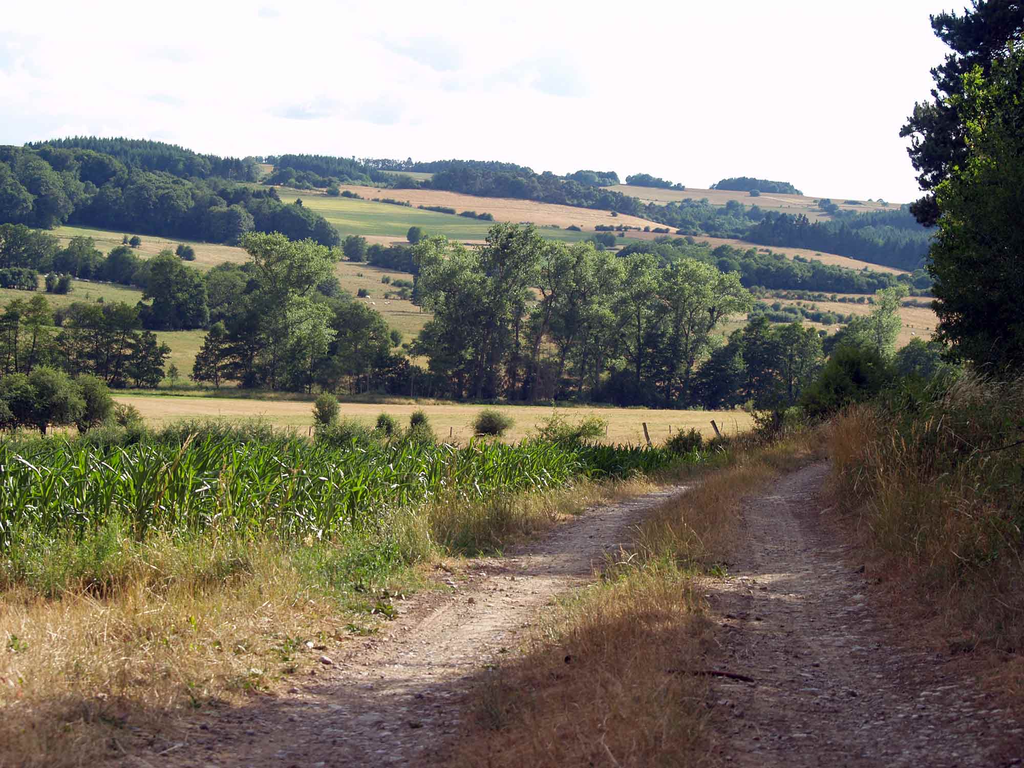 ardenne residences beauraing 5580 region landscape.jpg