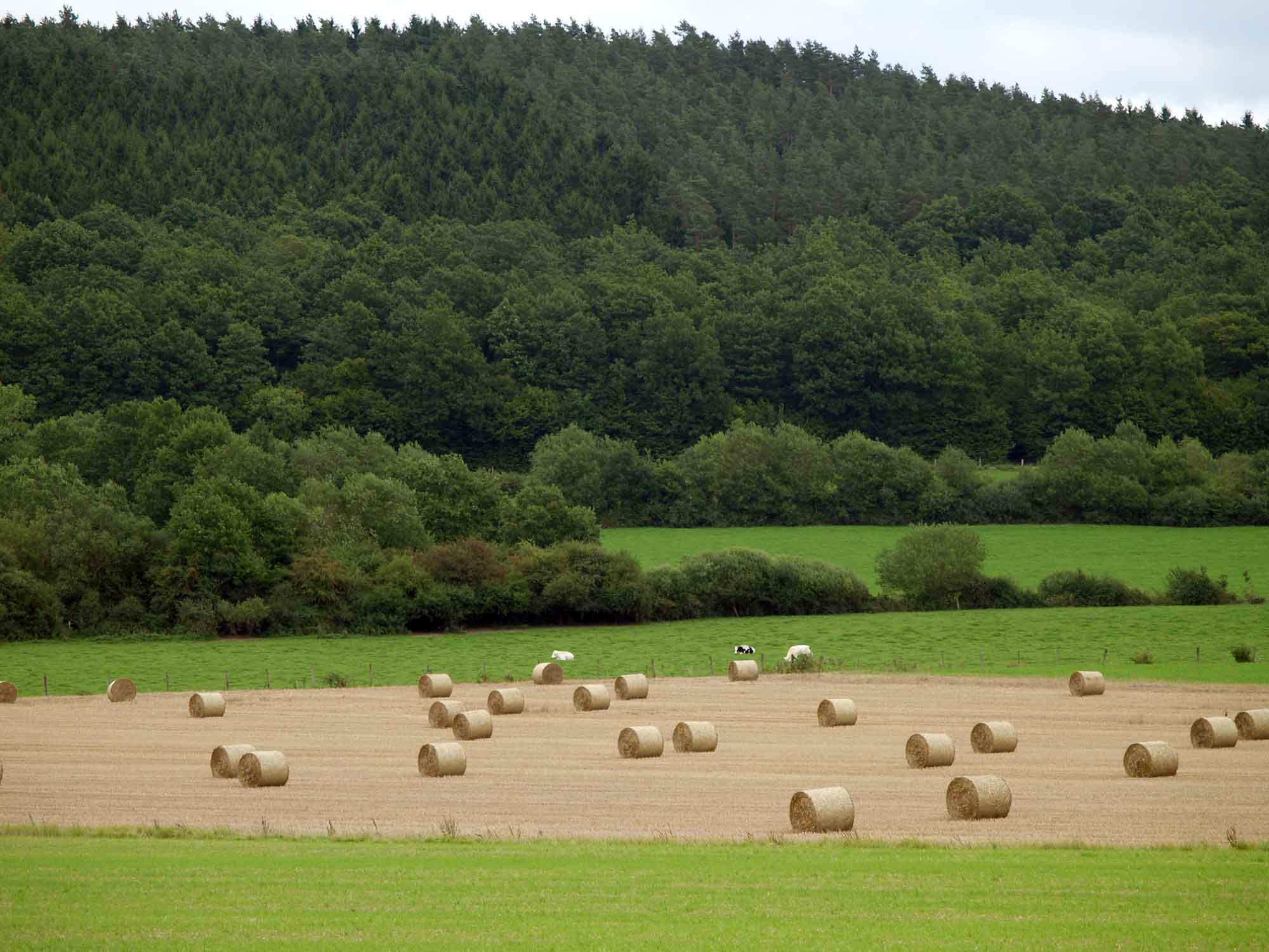 ardenne residences 5580 beauraing region landscapes 5572 focant