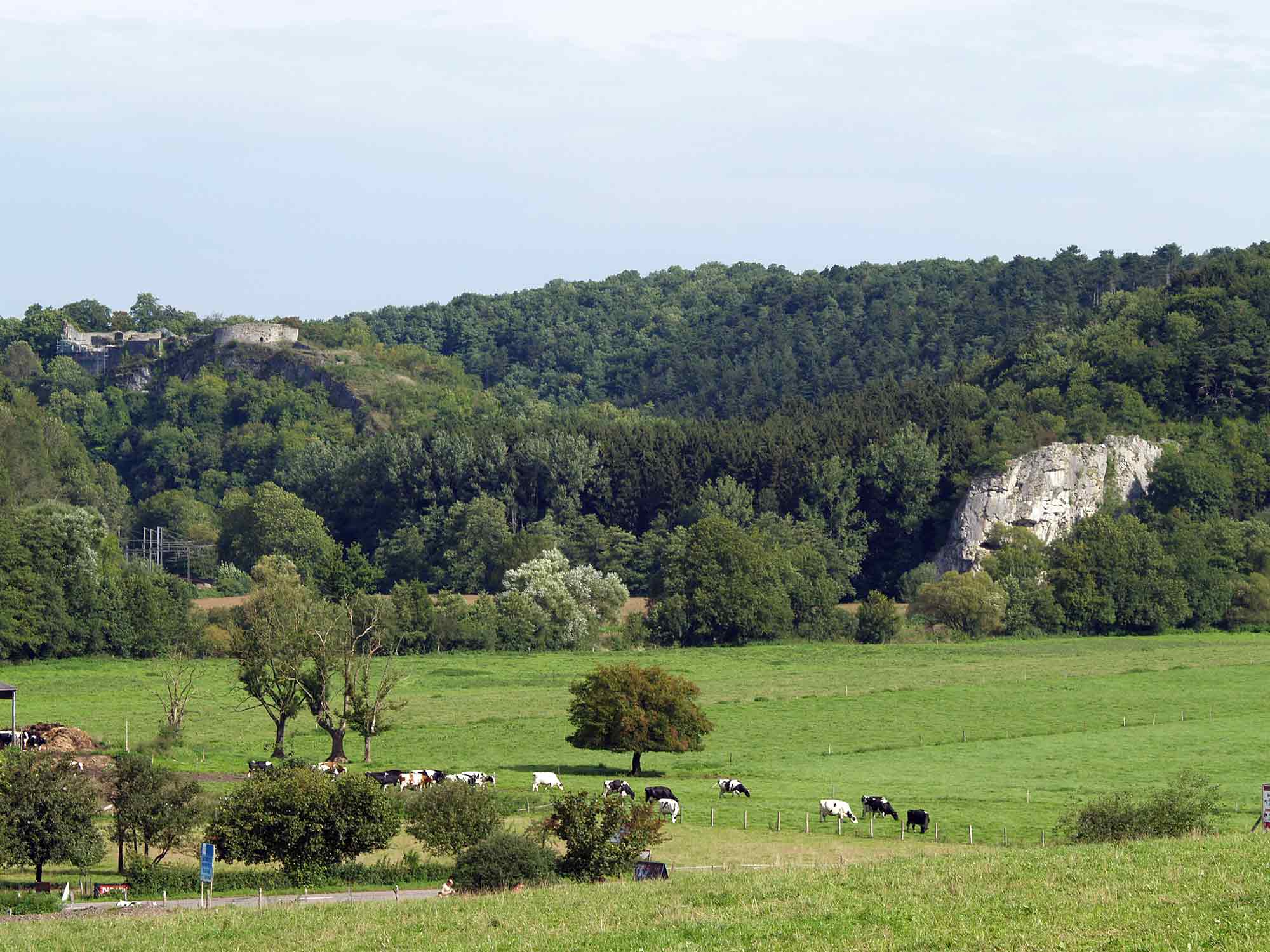 ardenne residences durbuy region landscapes bomal sur outhe nature rocher