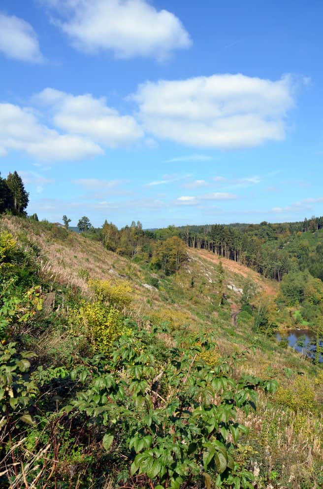 ardenne residences houffalize 6660 region landscapes achouffe woods