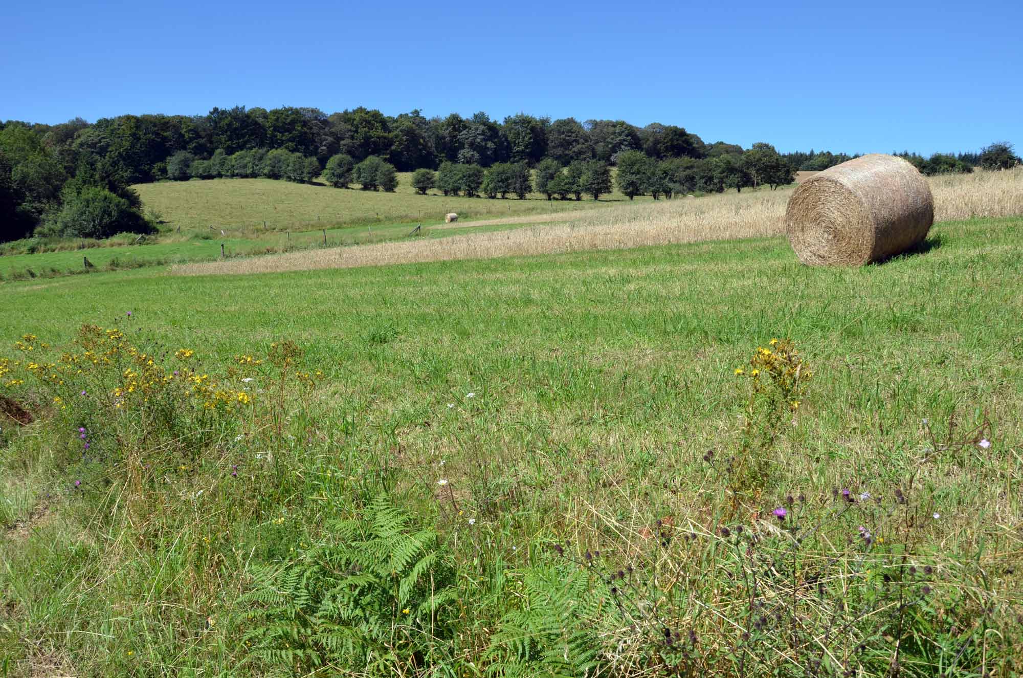 ardenne residences daverdisse 6929 landscapes nature