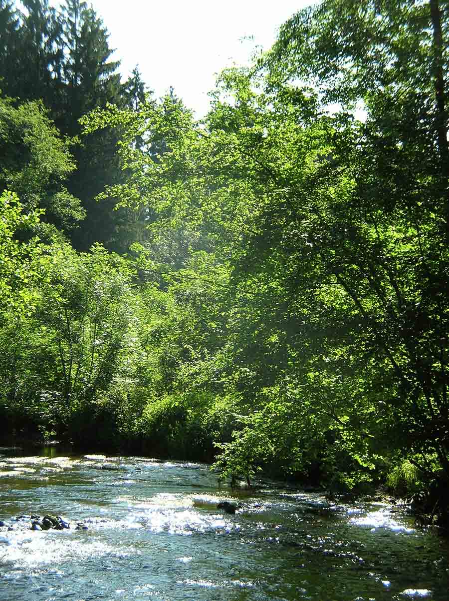 ardenne residences daverdisse 6929 landscapes nature lesse river