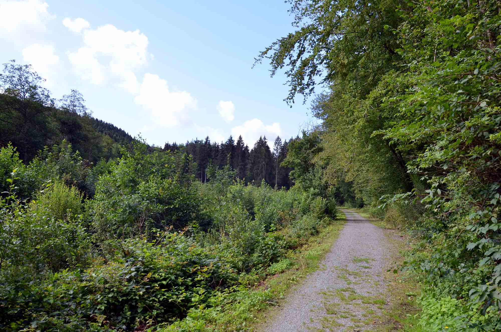 ardenne residences daverdisse 6929 landscapes nature ravel walks