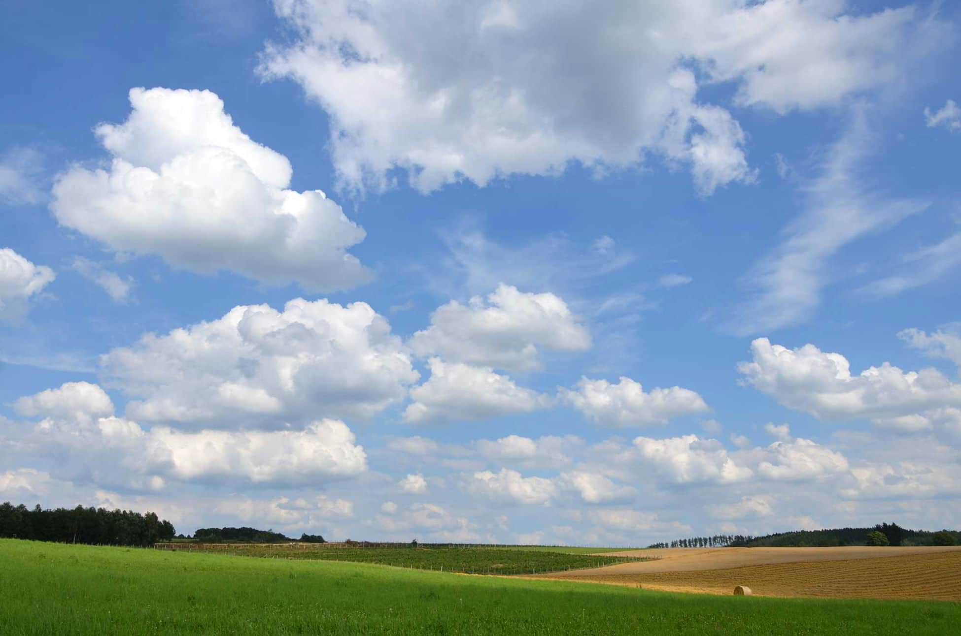 ardenne residences redu 6890 region landscapes nature