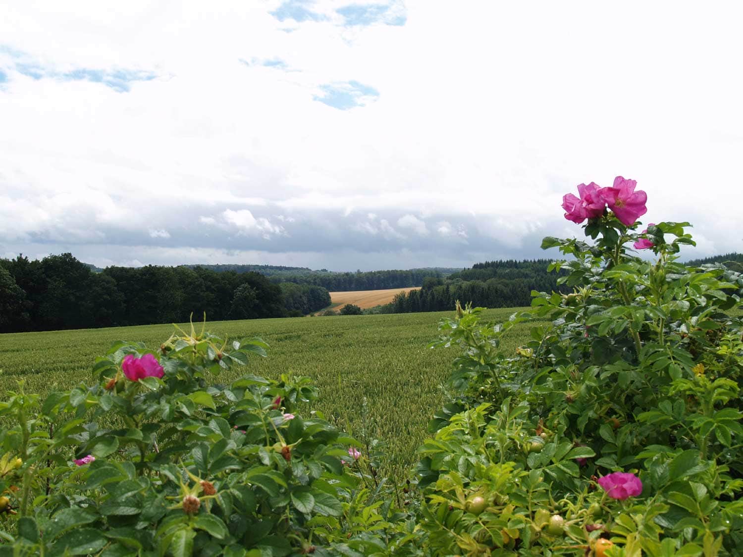 ardenne residences maredsous 5537 region landscapes