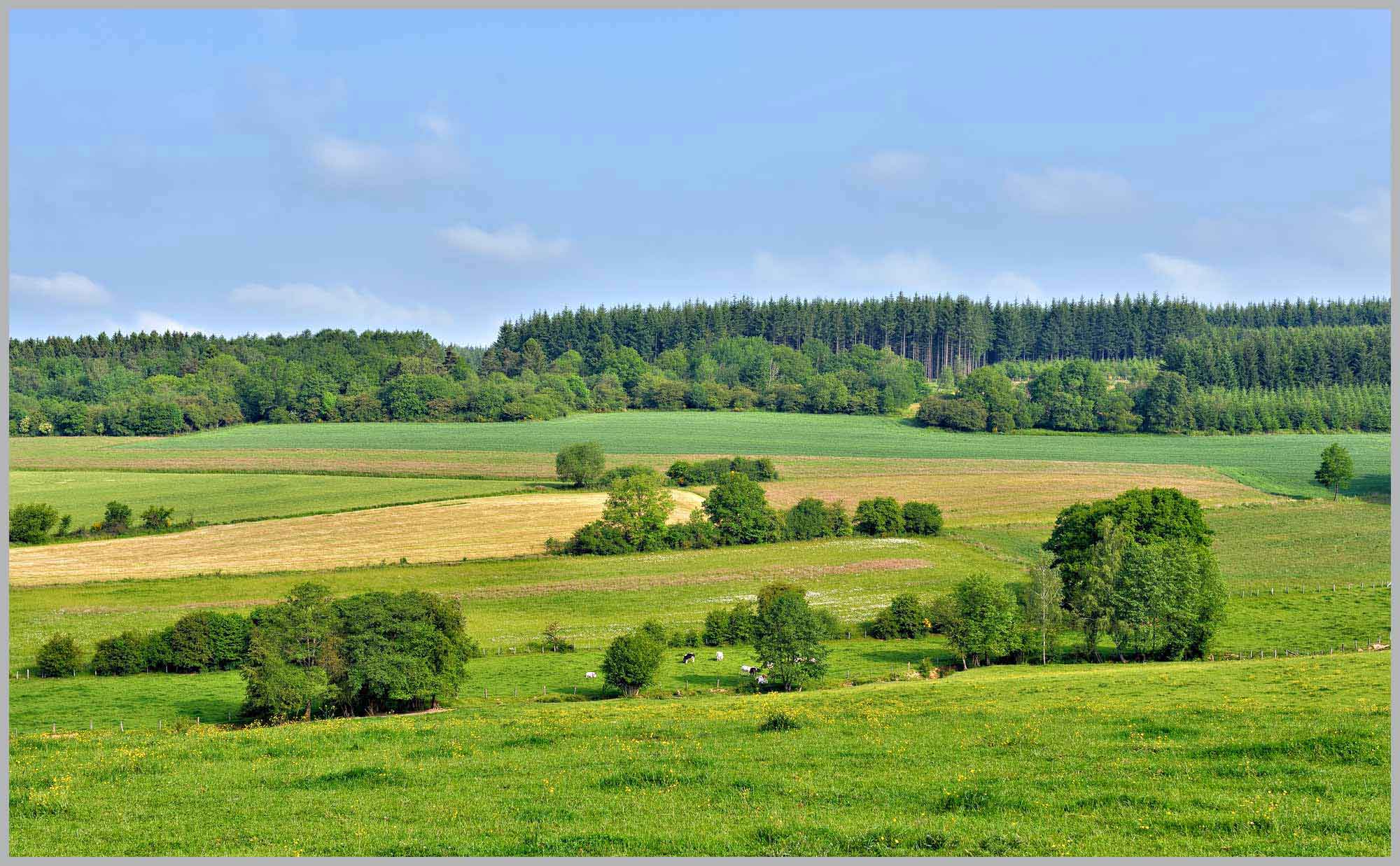 Redécouvrez Ardenne Résidences