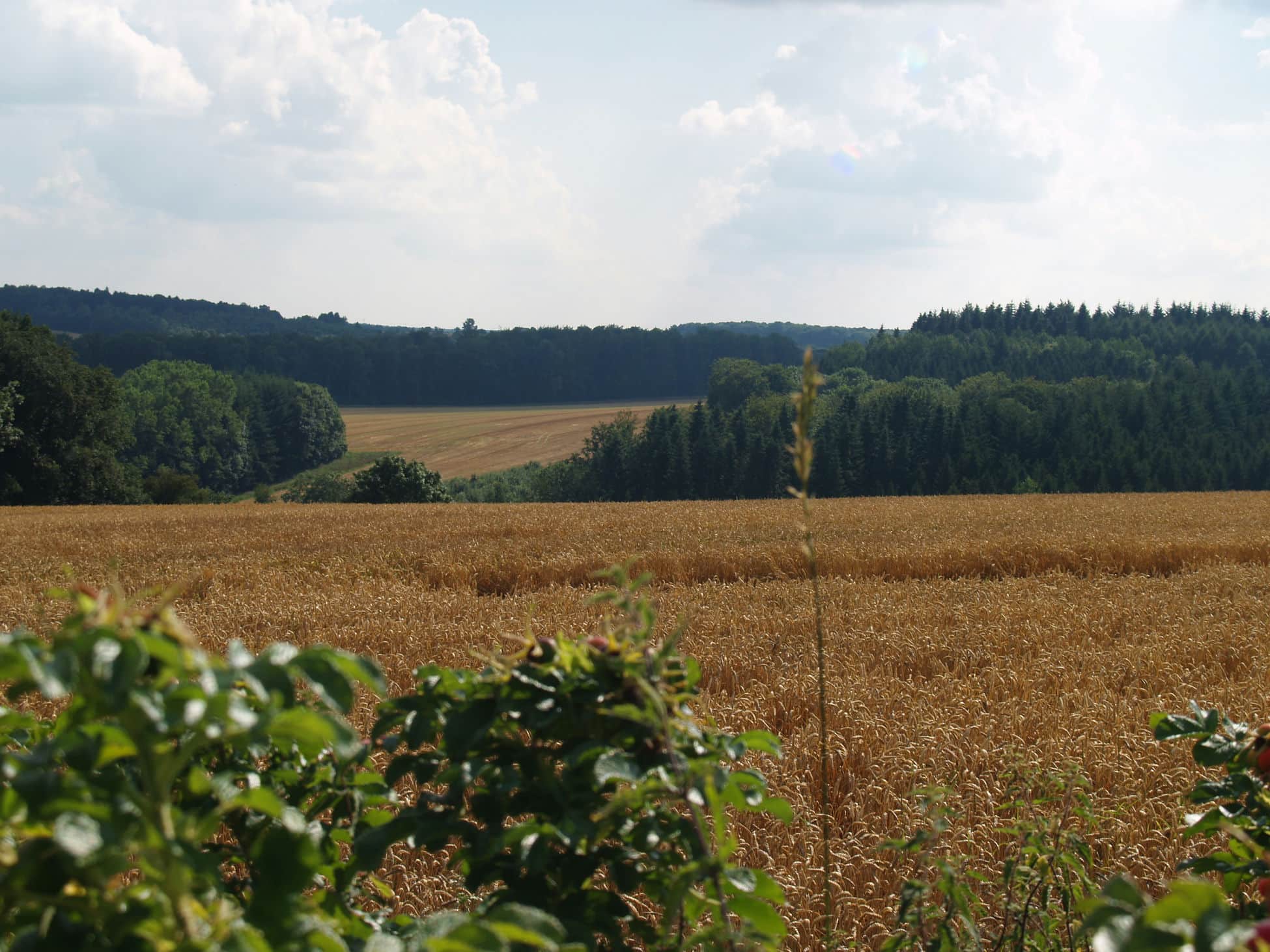 ardenne residences maredsous 5537 region landscapes